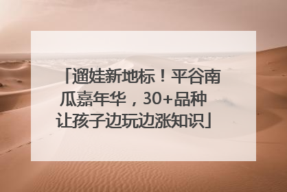 遛娃新地标！平谷南瓜嘉年华，30+品种让孩子边玩边涨知识