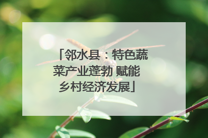 邻水县：特色蔬菜产业蓬勃 赋能乡村经济发展