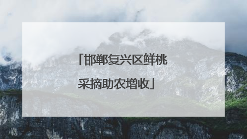 邯郸复兴区鲜桃采摘助农增收