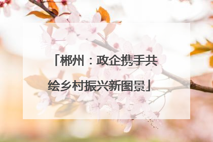 郴州：政企携手共绘乡村振兴新图景