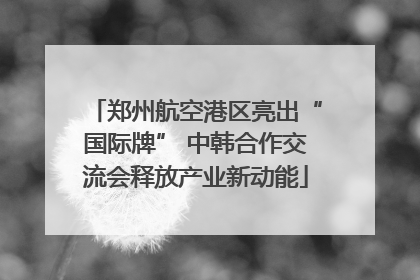 郑州航空港区亮出“国际牌” 中韩合作交流会释放产业新动能