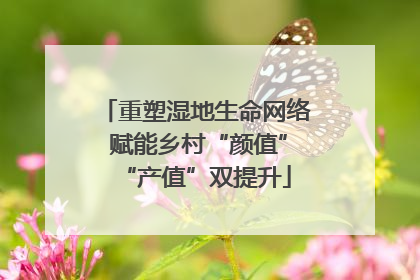重塑湿地生命网络 赋能乡村“颜值”“产值”双提升