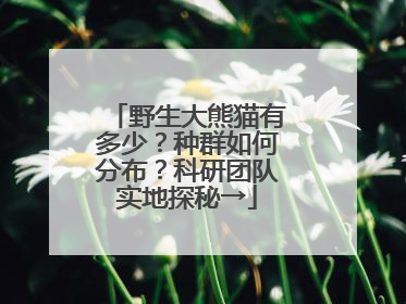 野生大熊猫有多少？种群如何分布？科研团队实地探秘→