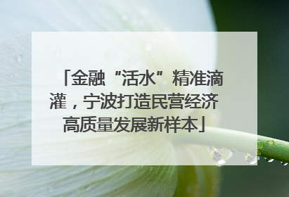 金融“活水”精准滴灌，宁波打造民营经济高质量发展新样本