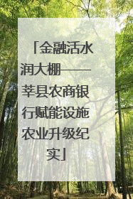 金融活水润大棚——莘县农商银行赋能设施农业升级纪实