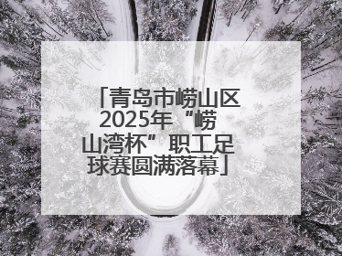 青岛市崂山区2025年“崂山湾杯”职工足球赛圆满落幕