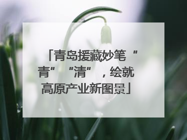 青岛援藏妙笔“青”“清”，绘就高原产业新图景