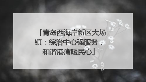 青岛西海岸新区大场镇：综治中心强服务，和谐港湾暖民心
