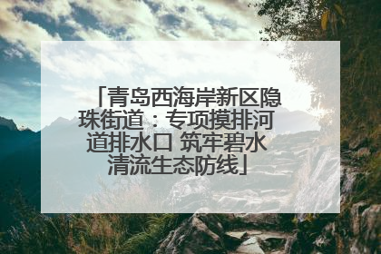 青岛西海岸新区隐珠街道：专项摸排河道排水口 筑牢碧水清流生态防线