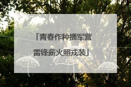 青春作种播军营 雷锋薪火照戎装