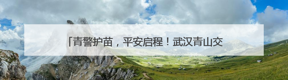 青警护苗，平安启程！武汉青山交警开展交通安全宣传进校园活动