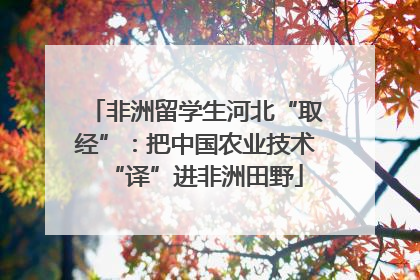 非洲留学生河北“取经”：把中国农业技术“译”进非洲田野