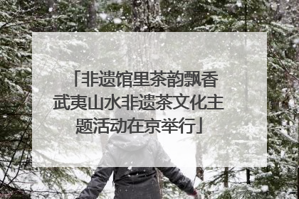 非遗馆里茶韵飘香 武夷山水非遗茶文化主题活动在京举行