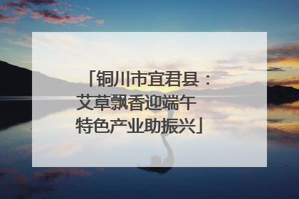 铜川市宜君县：艾草飘香迎端午 特色产业助振兴