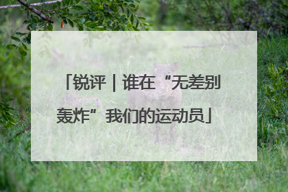 锐评｜谁在“无差别轰炸”我们的运动员