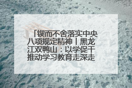 锲而不舍落实中央八项规定精神丨黑龙江双鸭山：以学促干推动学习教育走深走实 从小事入手写好“民生答卷”