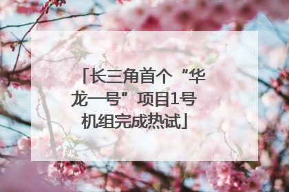 长三角首个“华龙一号”项目1号机组完成热试