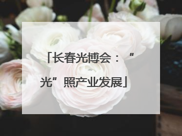 长春光博会：“光”照产业发展