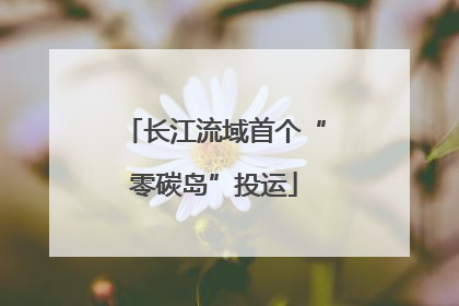 长江流域首个“零碳岛”投运