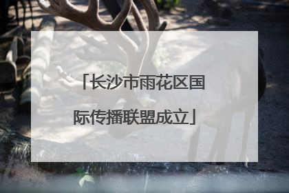长沙市雨花区国际传播联盟成立