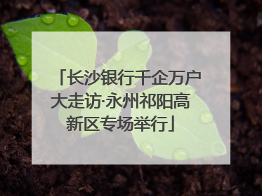 长沙银行千企万户大走访·永州祁阳高新区专场举行