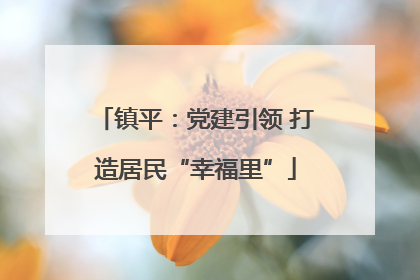 镇平：党建引领 打造居民“幸福里”