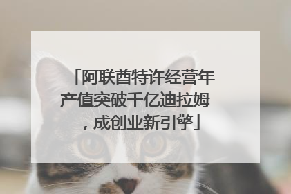 阿联酋特许经营年产值突破千亿迪拉姆，成创业新引擎