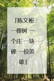 陈文彬：一棵树 一个庄 一块碑 一位英雄