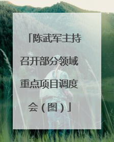 陈武军主持召开部分领域重点项目调度会（图）