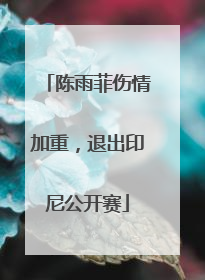 陈雨菲伤情加重，退出印尼公开赛