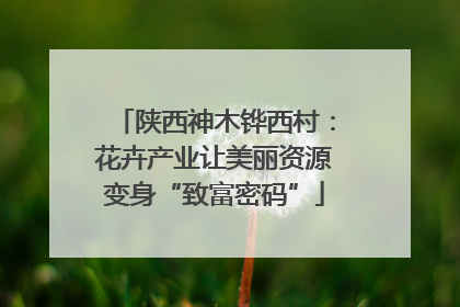 陕西神木铧西村：花卉产业让美丽资源变身“致富密码”