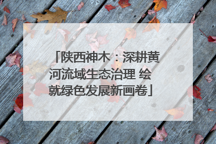 陕西神木：深耕黄河流域生态治理 绘就绿色发展新画卷