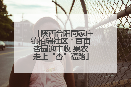 陕西合阳同家庄镇柏瑞社区：百亩杏园迎丰收 果农走上“杏”福路