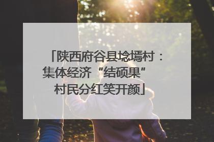 陕西府谷县埝墕村：集体经济“结硕果” 村民分红笑开颜