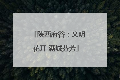 陕西府谷：文明花开 满城芬芳