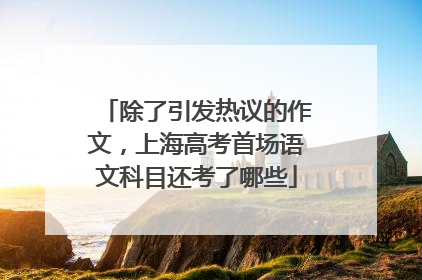 除了引发热议的作文，上海高考首场语文科目还考了哪些