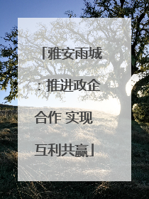 雅安雨城：推进政企合作 实现互利共赢