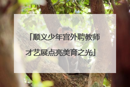 顺义少年宫外聘教师才艺展点亮美育之光