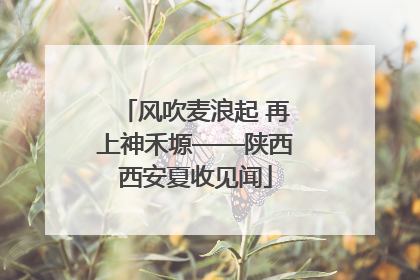 风吹麦浪起 再上神禾塬——陕西西安夏收见闻
