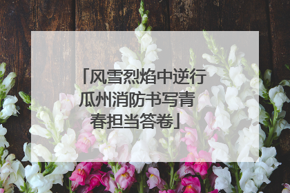 风雪烈焰中逆行 瓜州消防书写青春担当答卷