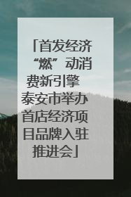 首发经济“燃”动消费新引擎 泰安市举办首店经济项目品牌入驻推进会