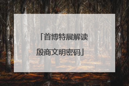 首博特展解读殷商文明密码