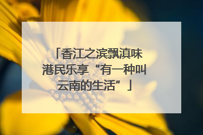 香江之滨飘滇味 港民乐享“有一种叫云南的生活”