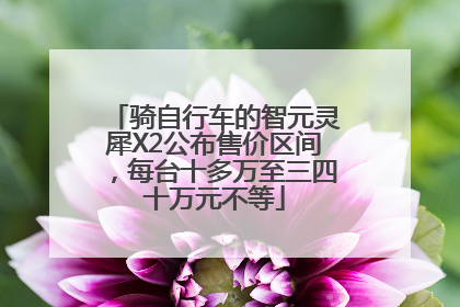 骑自行车的智元灵犀X2公布售价区间，每台十多万至三四十万元不等