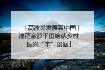 高质量发展看中国丨福稻金浪千重绘就乡村振兴“丰”景图