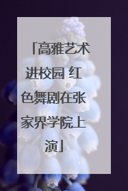 高雅艺术进校园 红色舞剧在张家界学院上演