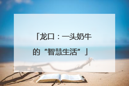 龙口：一头奶牛的“智慧生活”