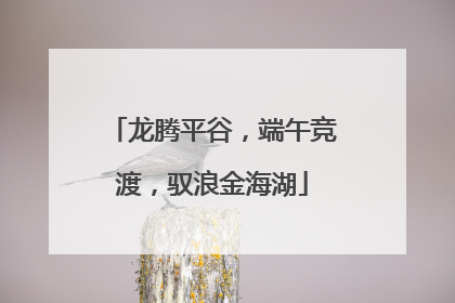 龙腾平谷，端午竞渡，驭浪金海湖