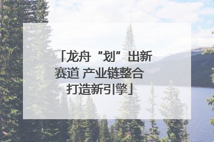 龙舟“划”出新赛道 产业链整合打造新引擎