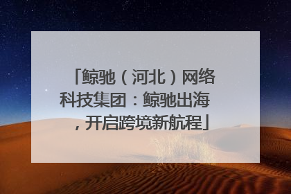 鲸驰（河北）网络科技集团：鲸驰出海，开启跨境新航程